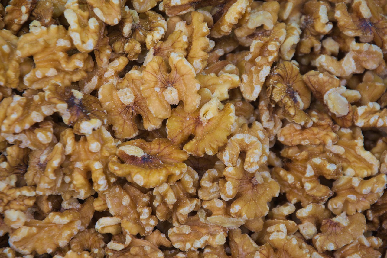 Nuts, health, food — Compassionate Home Care - Compassionate Home Care | Dedicated Support Services