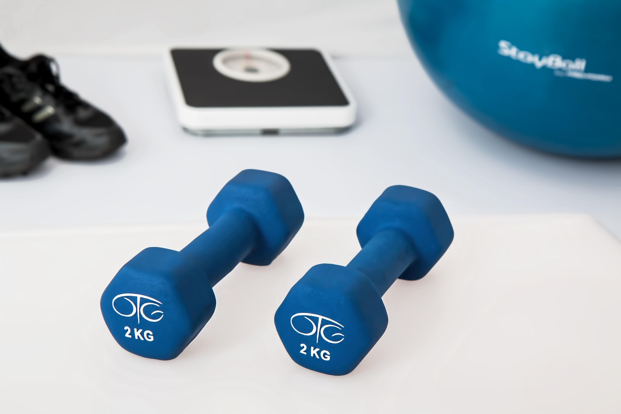 Physiotherapy, weight training, dumbbells — Joseph Rallo NYC: Transforming Healthcare Access and Patient Care