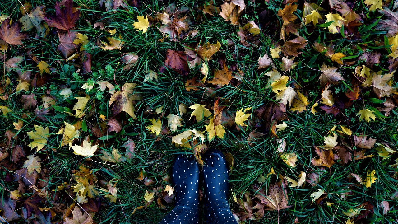 Fall, leaves, autumn — The Art of Swiss Replica Watchmaking: A Tradition of Excellence
